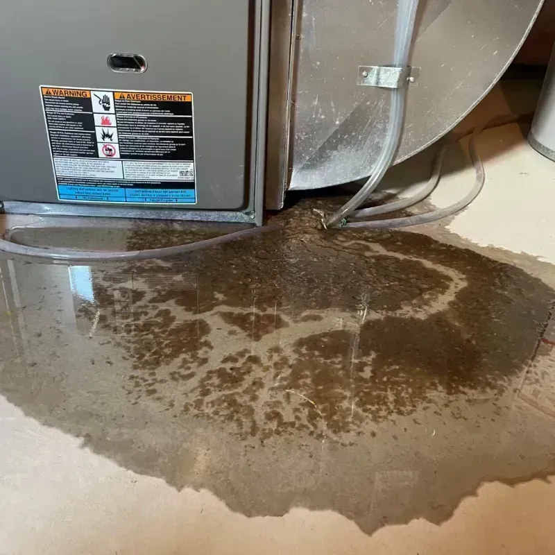 Appliance Leak Cleanup in Kewanee, IL